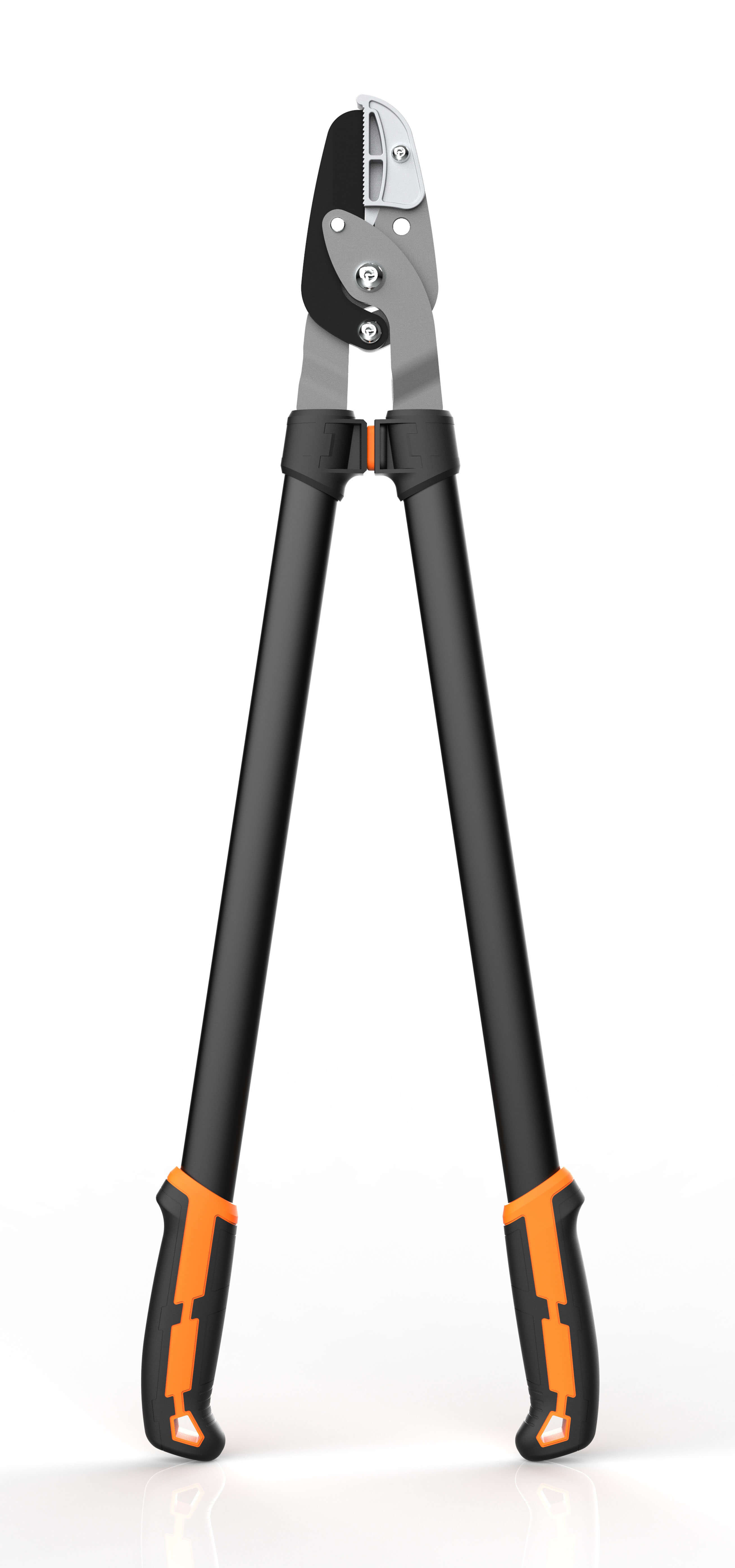 CL06101