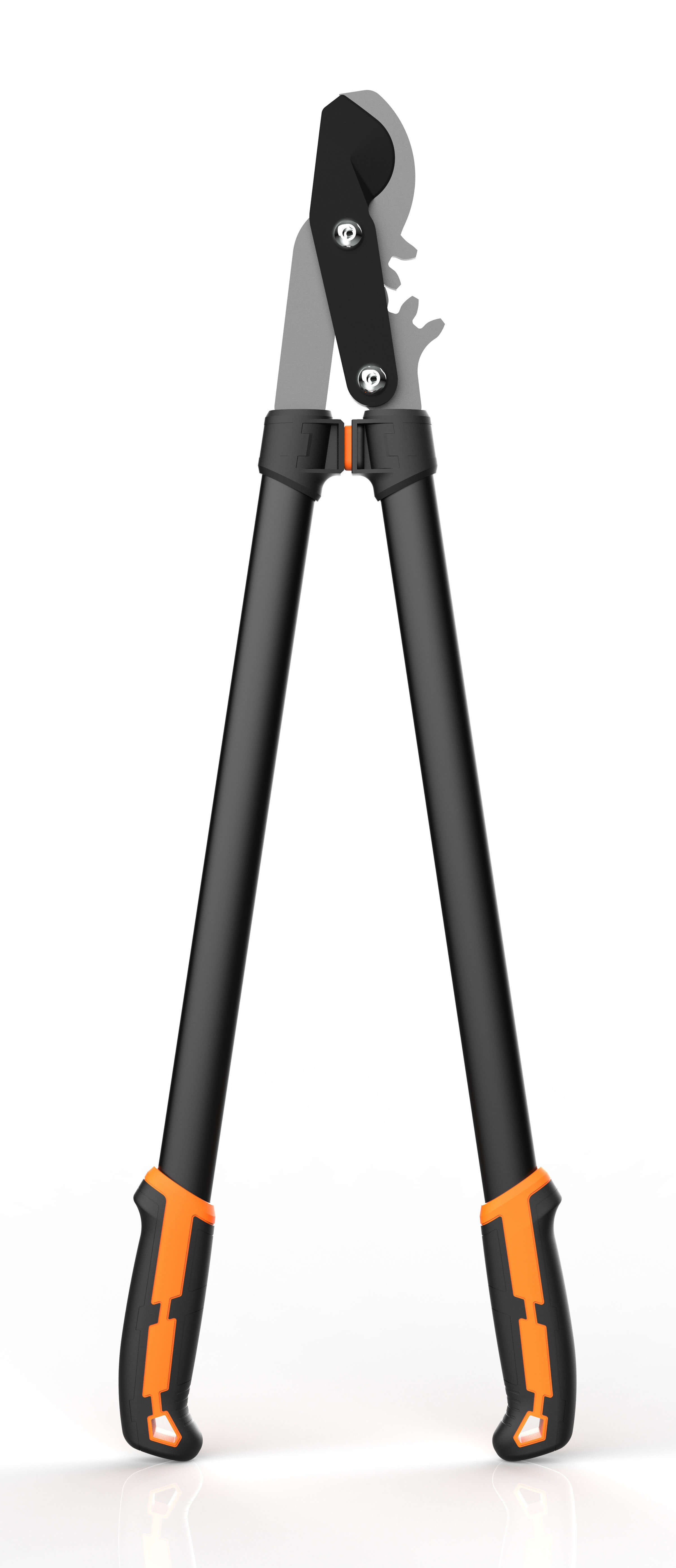 CL03101