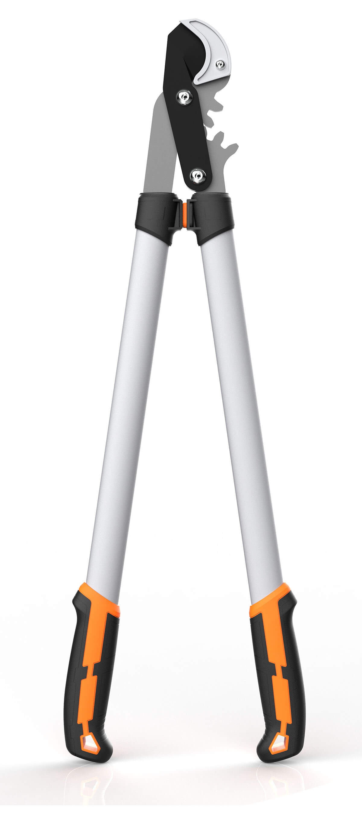 CL05202