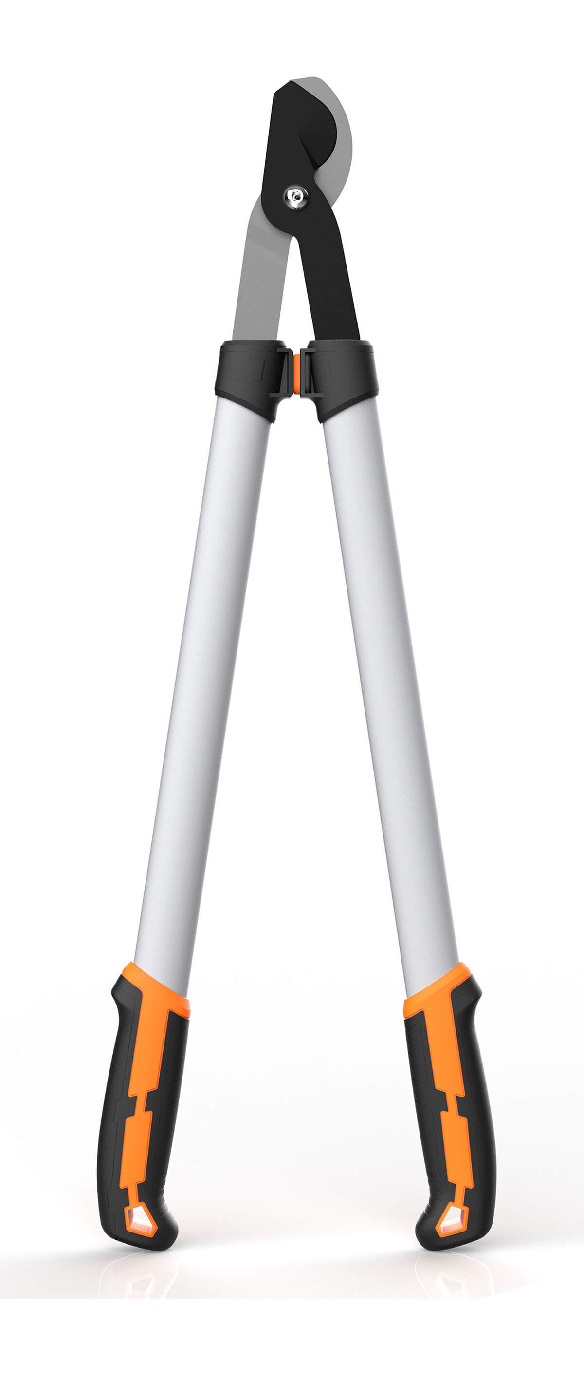 CL01202