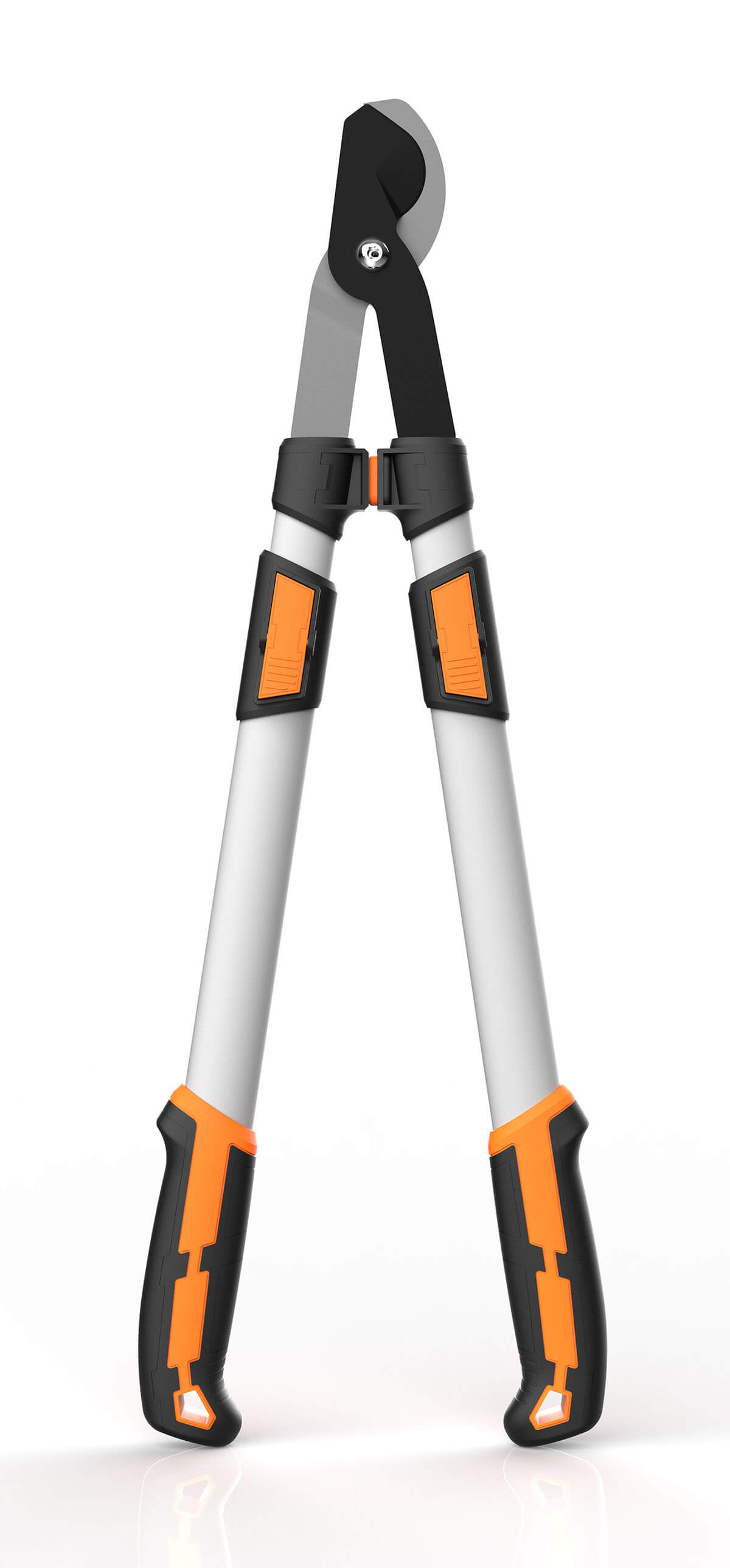 CL01202T