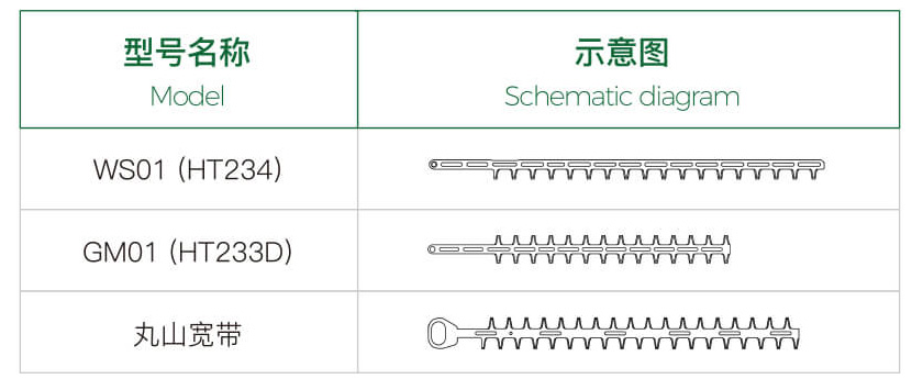 Maruyama Series